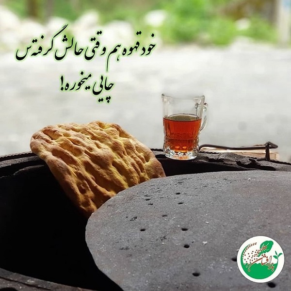 چای سیاه ایرانی بذرافشان
