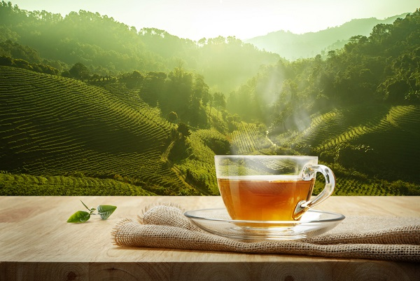 خواص چای سبز برای لاغری